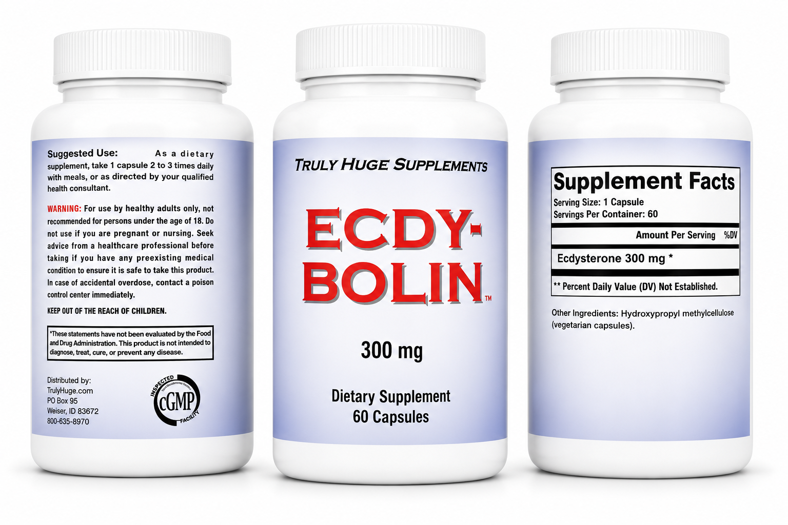 Ecdy Bolin